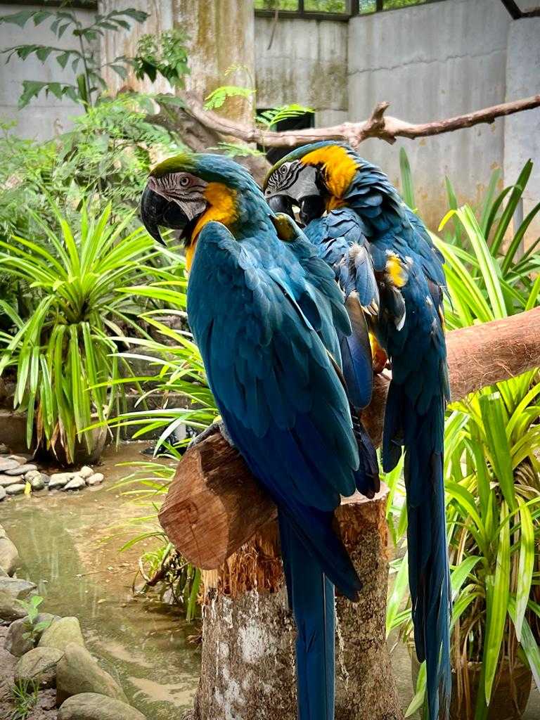 Langkawi 3D2N