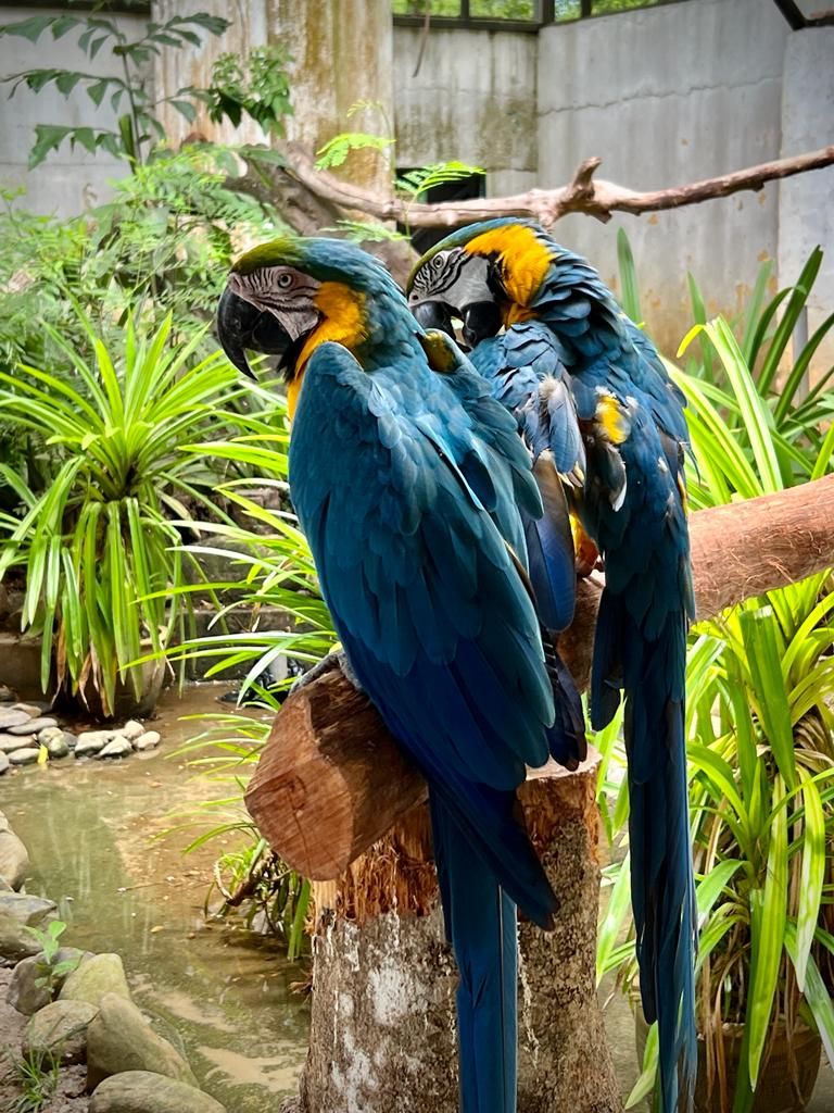 Langkawi 3D2N